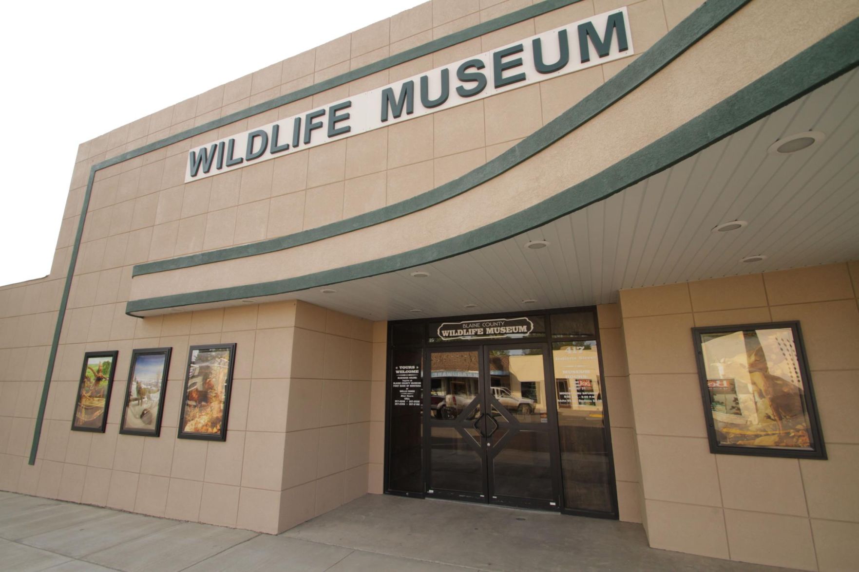 The Wildlife Museum